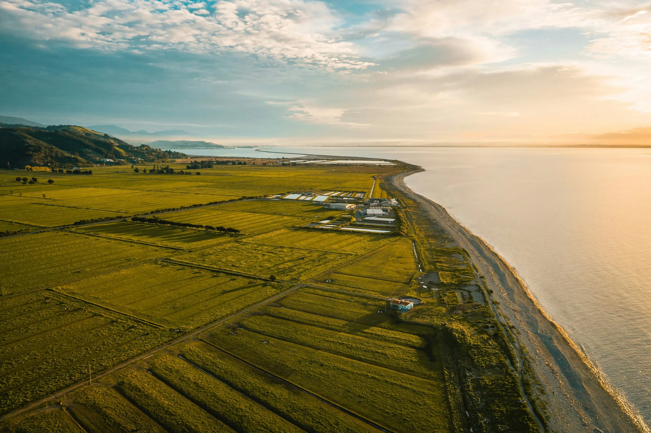 Aerial view of New Zealand coastal farmland meeting the sea at golden hour.