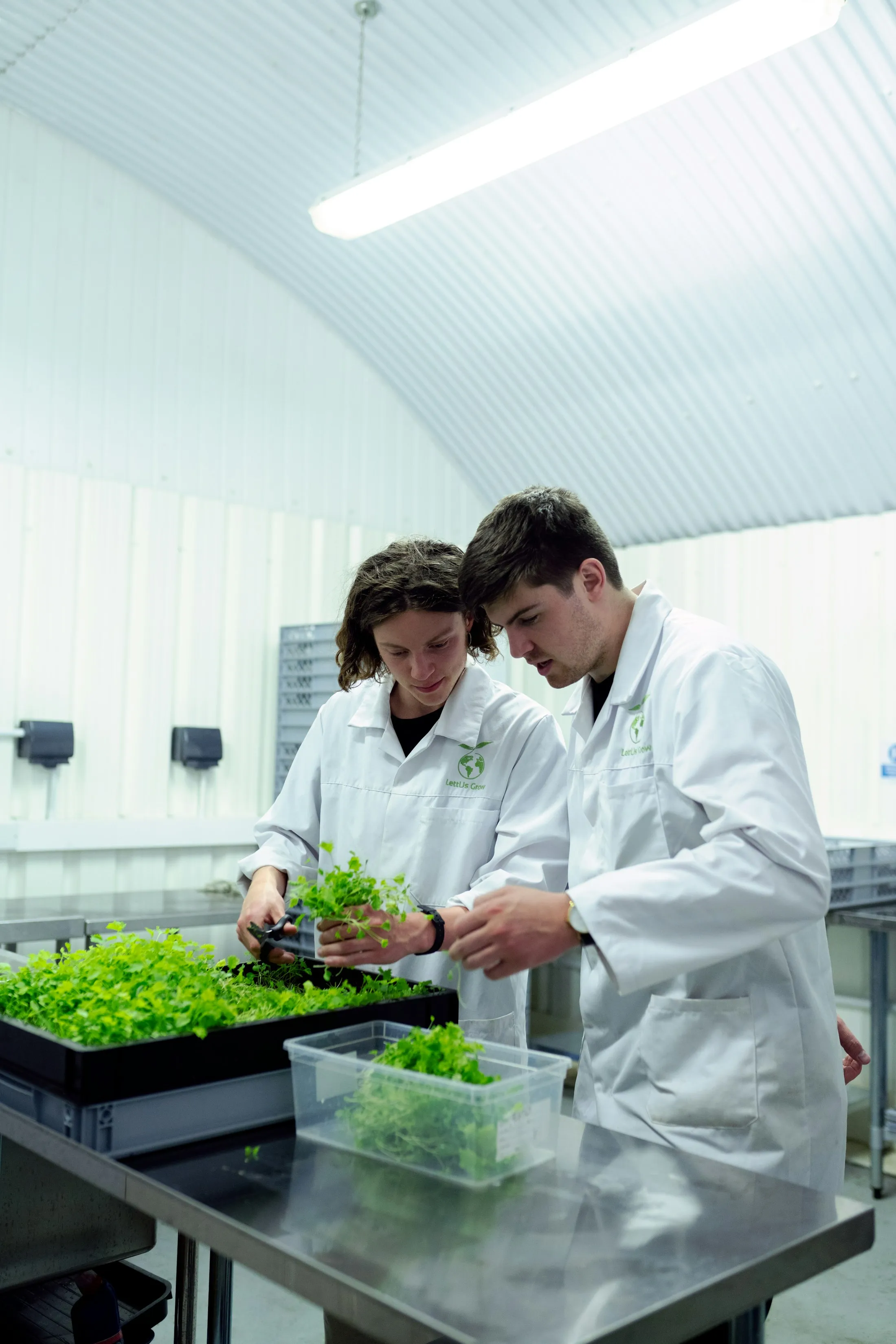 Two agri-science researchers in white coats inspecting trays of leafy greens in a controlled-environment growing facility.